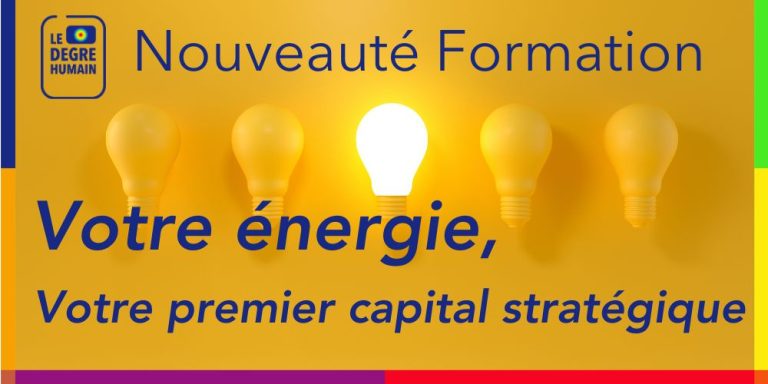 Formation Energie Capital Stratégique