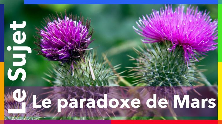 Le paradoxe de Mars – lettre d&rsquo;Infos #09 [mars 26]